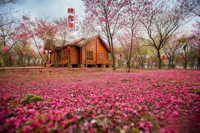 郴州旅游王仙嶺景區門(mén)票